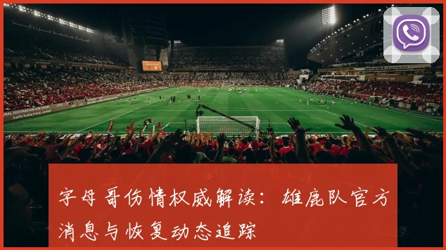 字母哥伤情权威解读:雄鹿队官方消息与恢复动态追踪