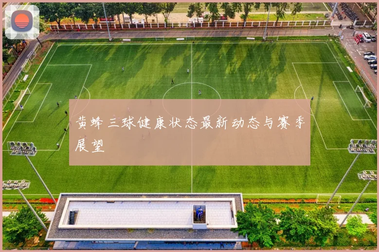 黄蜂三球健康状态最新动态与赛季展望